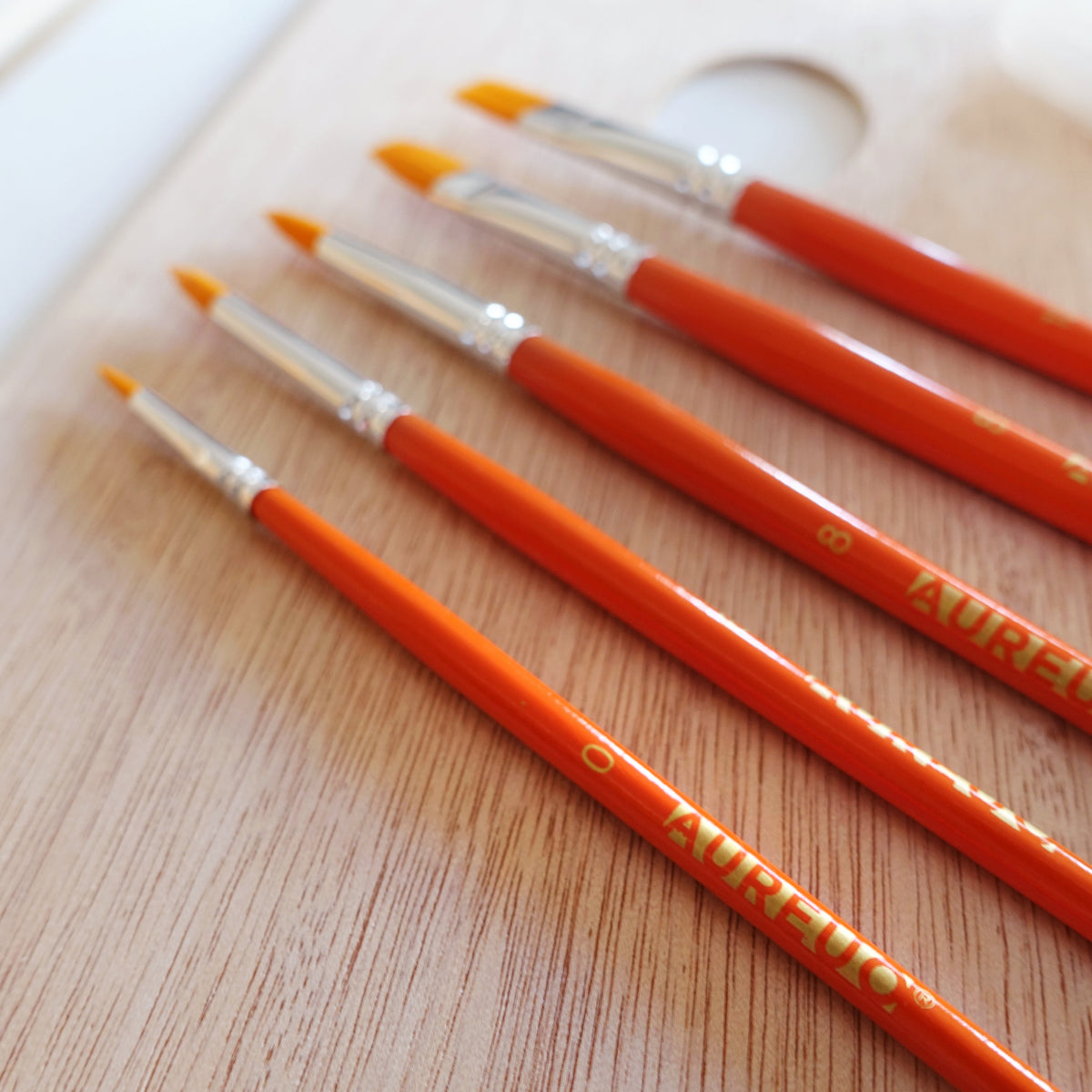 Aureuo Studio | Acrylic Painting Set