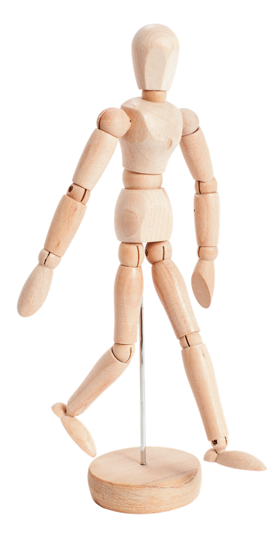 Mannequin articulé