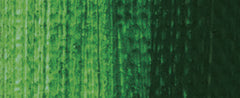 568 | Vert de vessie