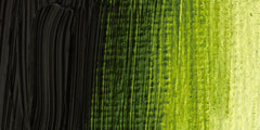 568 | Verde de Savia