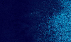 445 | Bleu de Prusse