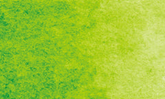 563 | Vert feuille