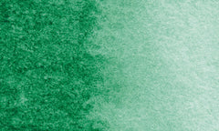 576 | Vert permanent foncé