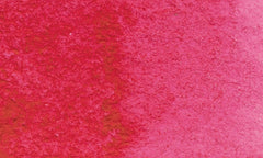 602 | Rose permanent