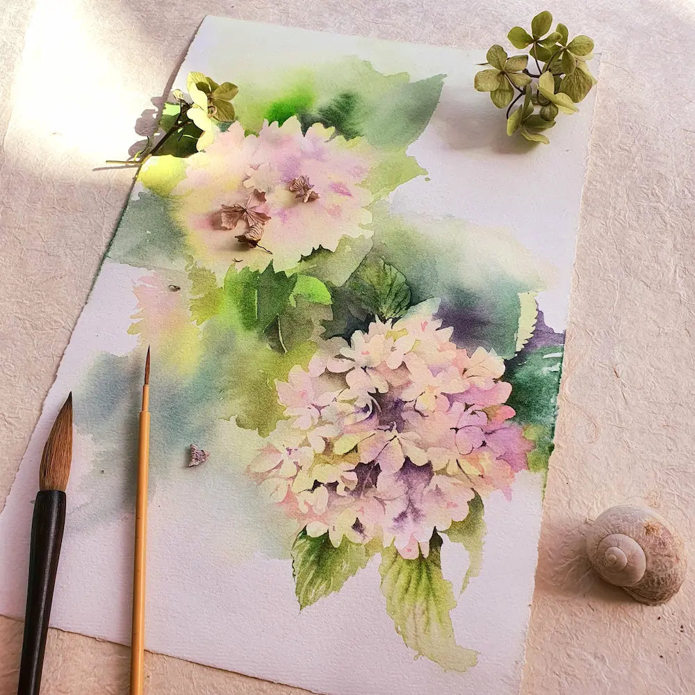 “Hydrangea”. Acuarela sobre papel