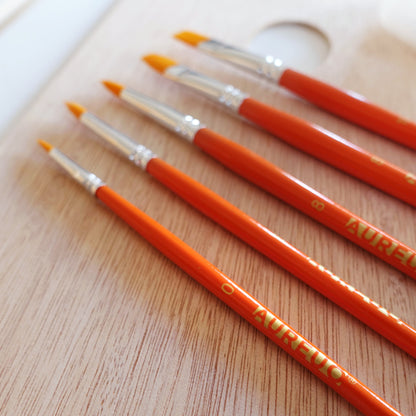 Aureuo Studio | Acrylic Painting Set