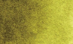 569 | Vert olive