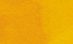 218 | Gomme-gutte (nuance)