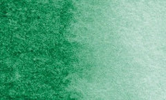 576 | Vert permanent foncé
