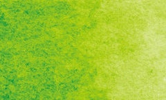 563 | Vert feuille