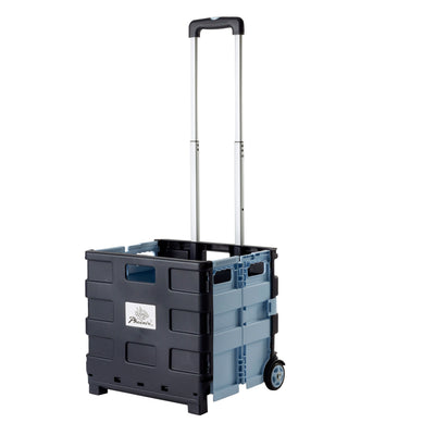 Carrito plegable con ruedas